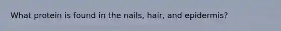 What protein is found in the nails, hair, and epidermis?