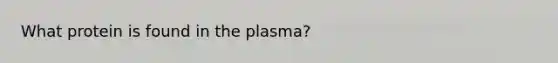 What protein is found in the plasma?