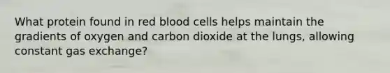 What protein found in red blood cells helps maintain the gradients of oxygen and carbon dioxide at the lungs, allowing constant gas exchange?