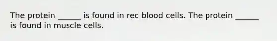 The protein ______ is found in red blood cells. The protein ______ is found in muscle cells.