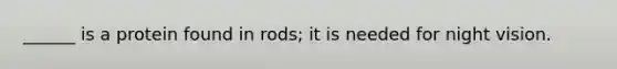 ______ is a protein found in rods; it is needed for night vision.