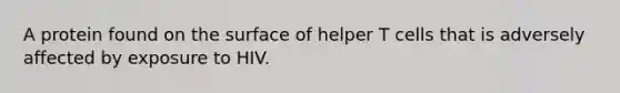 A protein found on the surface of helper T cells that is adversely affected by exposure to HIV.