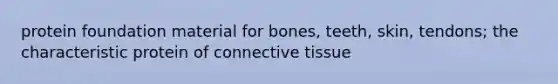 protein foundation material for bones, teeth, skin, tendons; the characteristic protein of connective tissue