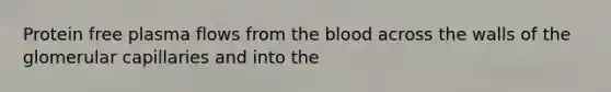 Protein free plasma flows from the blood across the walls of the glomerular capillaries and into the