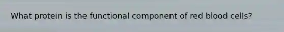 What protein is the functional component of red blood cells?