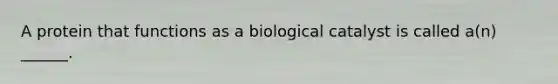 A protein that functions as a biological catalyst is called a(n) ______.