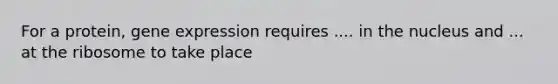 For a protein, gene expression requires .... in the nucleus and ... at the ribosome to take place