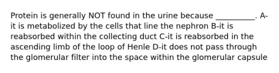 Protein is generally NOT found in the urine because __________. A-it is metabolized by the cells that line the nephron B-it is reabsorbed within the collecting duct C-it is reabsorbed in the ascending limb of the loop of Henle D-it does not pass through the glomerular filter into the space within the glomerular capsule