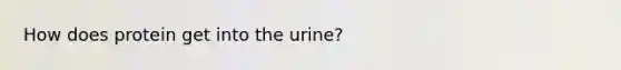 How does protein get into the urine?