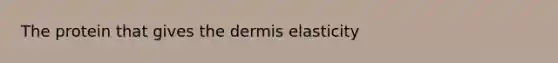 The protein that gives <a href='https://www.questionai.com/knowledge/kEsXbG6AwS-the-dermis' class='anchor-knowledge'>the dermis</a> elasticity