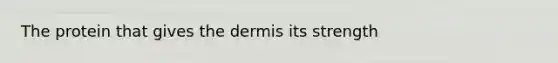 The protein that gives <a href='https://www.questionai.com/knowledge/kEsXbG6AwS-the-dermis' class='anchor-knowledge'>the dermis</a> its strength