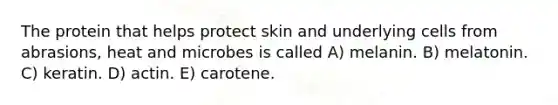 The protein that helps protect skin and underlying cells from abrasions, heat and microbes is called A) melanin. B) melatonin. C) keratin. D) actin. E) carotene.