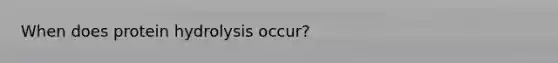 When does protein hydrolysis occur?
