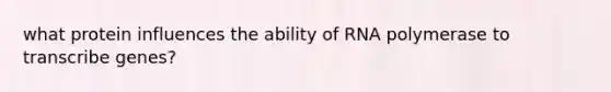 what protein influences the ability of RNA polymerase to transcribe genes?