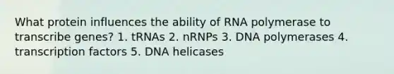 What protein influences the ability of RNA polymerase to transcribe genes? 1. tRNAs 2. nRNPs 3. DNA polymerases 4. transcription factors 5. DNA helicases