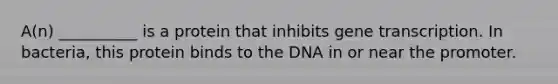 A(n) __________ is a protein that inhibits gene transcription. In bacteria, this protein binds to the DNA in or near the promoter.