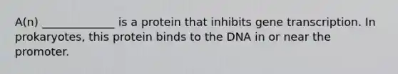 A(n) _____________ is a protein that inhibits gene transcription. In prokaryotes, this protein binds to the DNA in or near the promoter.