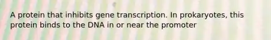 A protein that inhibits gene transcription. In prokaryotes, this protein binds to the DNA in or near the promoter