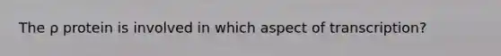 The ρ protein is involved in which aspect of transcription?