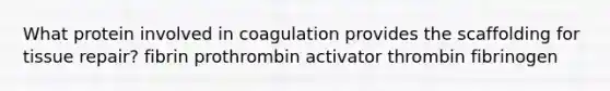 What protein involved in coagulation provides the scaffolding for tissue repair? fibrin prothrombin activator thrombin fibrinogen