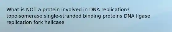 What is NOT a protein involved in DNA replication? topoisomerase single-stranded binding proteins DNA ligase replication fork helicase