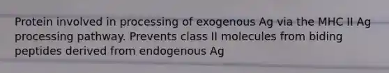 Protein involved in processing of exogenous Ag via the MHC II Ag processing pathway. Prevents class II molecules from biding peptides derived from endogenous Ag