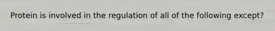 Protein is involved in the regulation of all of the following except?