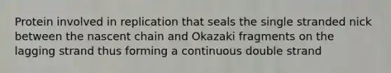 Protein involved in replication that seals the single stranded nick between the nascent chain and Okazaki fragments on the lagging strand thus forming a continuous double strand