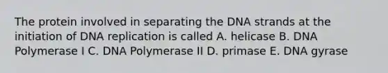 The protein involved in separating the DNA strands at the initiation of <a href='https://www.questionai.com/knowledge/kofV2VQU2J-dna-replication' class='anchor-knowledge'>dna replication</a> is called A. helicase B. DNA Polymerase I C. DNA Polymerase II D. primase E. DNA gyrase