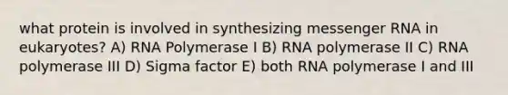 what protein is involved in synthesizing messenger RNA in eukaryotes? A) RNA Polymerase I B) RNA polymerase II C) RNA polymerase III D) Sigma factor E) both RNA polymerase I and III