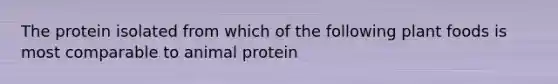 The protein isolated from which of the following plant foods is most comparable to animal protein