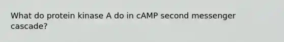 What do protein kinase A do in cAMP second messenger cascade?