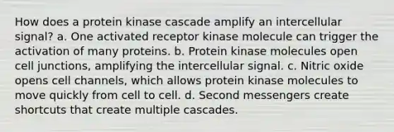 How does a protein kinase cascade amplify an intercellular signal? a. One activated receptor kinase molecule can trigger the activation of many proteins. b. Protein kinase molecules open cell junctions, amplifying the intercellular signal. c. Nitric oxide opens cell channels, which allows protein kinase molecules to move quickly from cell to cell. d. Second messengers create shortcuts that create multiple cascades.