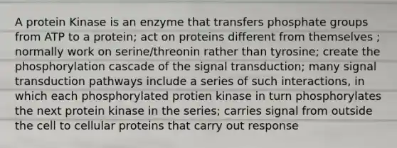 A protein Kinase is an enzyme that transfers phosphate groups from ATP to a protein; act on proteins different from themselves ; normally work on serine/threonin rather than tyrosine; create the phosphorylation cascade of the signal transduction; many signal transduction pathways include a series of such interactions, in which each phosphorylated protien kinase in turn phosphorylates the next protein kinase in the series; carries signal from outside the cell to cellular proteins that carry out response