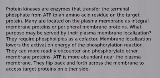 Protein kinases are enzymes that transfer the terminal phosphate from ATP to an amino acid residue on the target protein. Many are located on the plasma membrane as integral membrane proteins or peripheral membrane proteins. What purpose may be served by their plasma membrane localization? They require phospholipids as a cofactor. Membrane localization lowers the <a href='https://www.questionai.com/knowledge/k5H2w3K7Uj-activation-energy' class='anchor-knowledge'>activation energy</a> of the phosphorylation reaction. They can more readily encounter and phosphorylate other membrane proteins. ATP is more abundant near the plasma membrane. They flip back and forth across the membrane to access target proteins on either side.