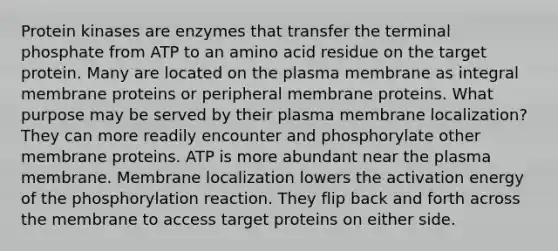 Protein kinases are enzymes that transfer the terminal phosphate from ATP to an amino acid residue on the target protein. Many are located on the plasma membrane as integral membrane proteins or peripheral membrane proteins. What purpose may be served by their plasma membrane localization? They can more readily encounter and phosphorylate other membrane proteins. ATP is more abundant near the plasma membrane. Membrane localization lowers the activation energy of the phosphorylation reaction. They flip back and forth across the membrane to access target proteins on either side.