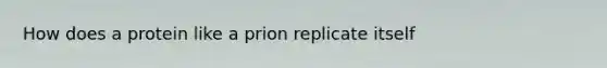 How does a protein like a prion replicate itself