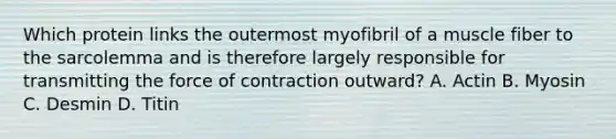 Which protein links the outermost myofibril of a muscle fiber to the sarcolemma and is therefore largely responsible for transmitting the force of contraction outward? A. Actin B. Myosin C. Desmin D. Titin