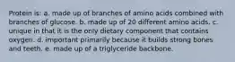 Protein is: a. made up of branches of amino acids combined with branches of glucose. b. made up of 20 different amino acids. c. unique in that it is the only dietary component that contains oxygen. d. important primarily because it builds strong bones and teeth. e. made up of a triglyceride backbone.