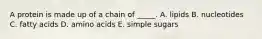 A protein is made up of a chain of _____. A. lipids B. nucleotides C. fatty acids D. amino acids E. simple sugars