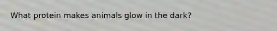 What protein makes animals glow in the dark?