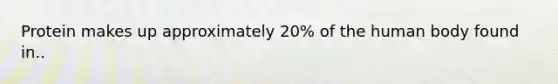 Protein makes up approximately 20% of the human body found in..