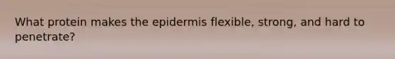 What protein makes the epidermis flexible, strong, and hard to penetrate?