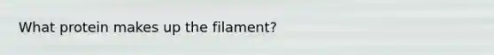 What protein makes up the filament?