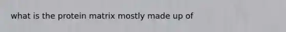 what is the protein matrix mostly made up of