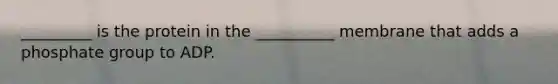 _________ is the protein in the __________ membrane that adds a phosphate group to ADP.