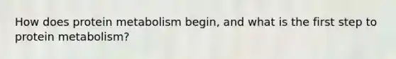 How does protein metabolism begin, and what is the first step to protein metabolism?