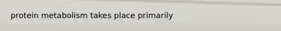 protein metabolism takes place primarily