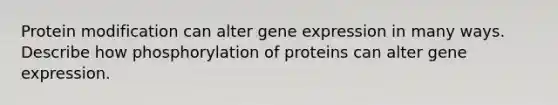 Protein modification can alter gene expression in many ways. Describe how phosphorylation of proteins can alter gene expression.