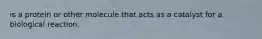 is a protein or other molecule that acts as a catalyst for a biological reaction.